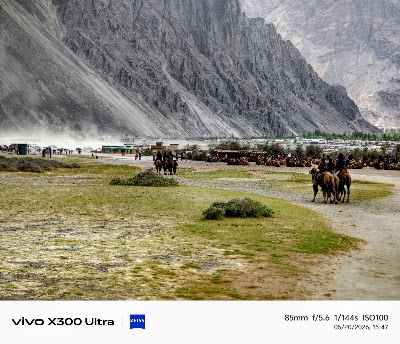 Nubra Valley Sand Dunes